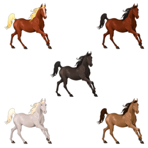 5 Horse Graphic