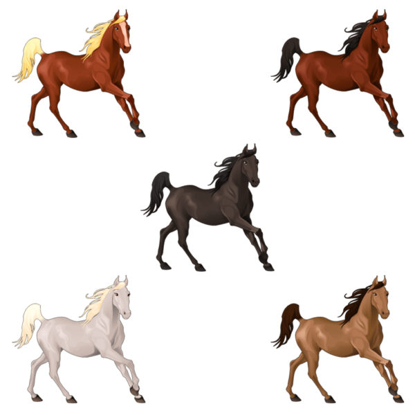 5 Horse Graphic
