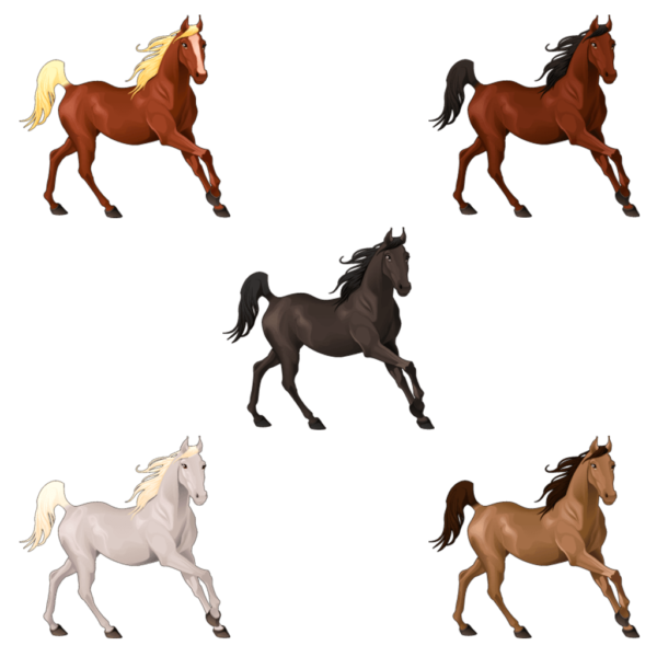 5 Horse Graphic